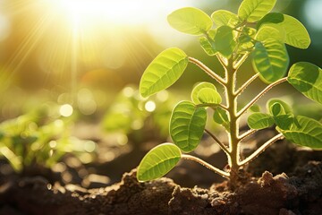 It sounds like you're interested in the intersection of urban planning, sustainability, and nature integration. Urban green spaces play a crucial role in creating livable cities while also promoting 