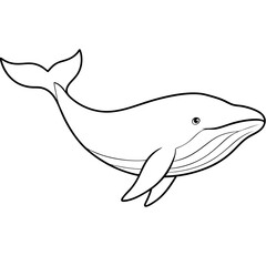 Graceful Whale Line Art Vector Illustration on White Background Graphic Design.