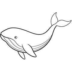 Graceful Whale Line Art Vector Illustration on White Background Graphic Design.