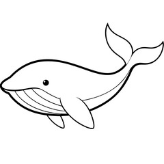 Graceful Whale Line Art Vector Illustration on White Background Graphic Design.