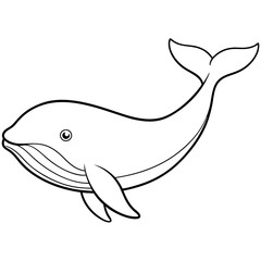 Graceful Whale Line Art Vector Illustration on White Background Graphic Design.