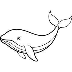 Graceful Whale Line Art Vector Illustration on White Background Graphic Design.