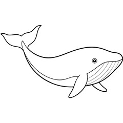 Graceful Whale Line Art Vector Illustration on White Background Graphic Design.