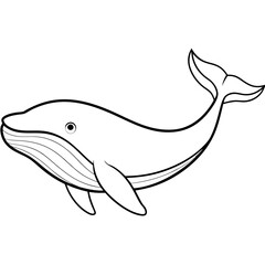 Graceful Whale Line Art Vector Illustration on White Background Graphic Design.