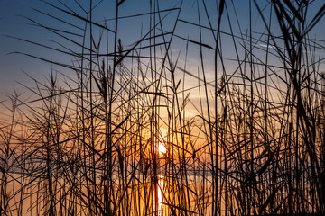 Sonnenuntergang auf der Insel Reichenau im Bodensee