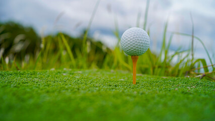 Golf ball on tee in a beautiful golf course with morning sunshine.