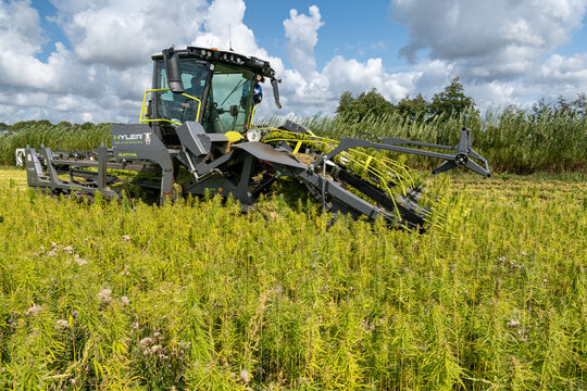 Arrachage de chanvre &agrave; l'aide d'une faucheuse Hyler Sativa 200 en Seine-maritime