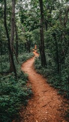 Enchanting jungle trail  explore the verdant path through towering trees and twisted vines