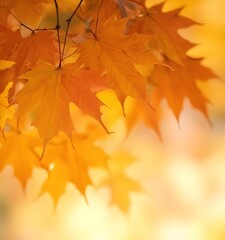 Obraz premium Vibrant orange maple leaves against a blurred background, capturing the beauty of autumn