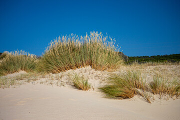 Valdevaqueros Dune in Tarifa, Strait of Gibraltar, Spain