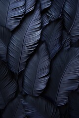 Obraz premium abstract black leaves for tropical leaf background