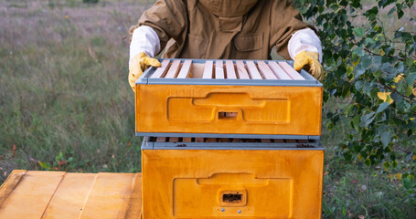 A beekeeper, a woman in a protective suit against bee stings, holds a frame with honey from a bee hive in her hands. Beekeeping, care of the hive