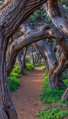 Naklejka premium Enchanting jungle trail discovering adventure through towering trees and lush vines