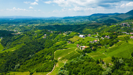 Aerial photos captures the beautiful fields of the Plešivica (Plesivica) wine region in Croatia. The image showcases picturesque hills covered with vineyards and cozy village