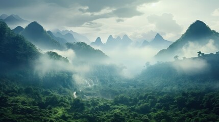 Obraz premium Foggy landscape in the jungle.