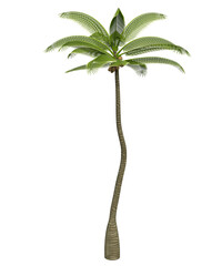 Albero con e senza foglie di vari colori  verdi, gialle, rosse o, arancioni o multicolore fondo trasparente e isolato