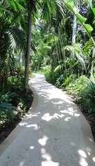 Obraz premium Enchanting jungle trail beckons for exploration amidst towering trees and tangled vines