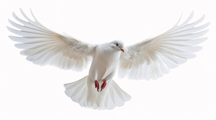 A white dove flying against a white background, symbolizing peace, hope, and freedom. Suitable for events, spirituality, and nature themes.