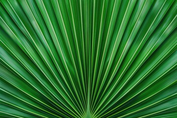 Obraz premium Radiant Green Palm Leaf