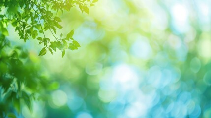 A vibrant, bokeh background of green leaves and blue sky. Peaceful and serene composition.