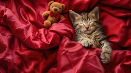 Small kitten snuggles toy bear under blanket on red satin bedding Overhead shot Space for text