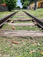 Vias del tren con hojas