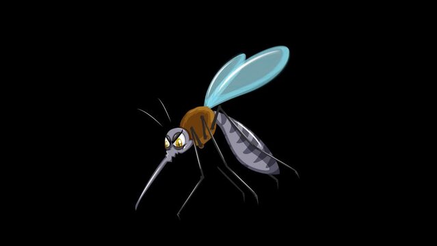 Animation of an angry and scary mosquito flying on a transparent background with an alpha channel