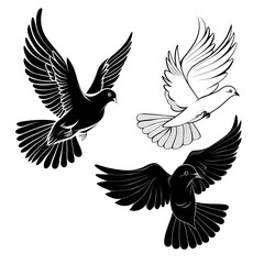 Obraz premium Flying pigeons background. Hand drawn vector illustration.