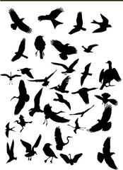 Vector Collection of Bird Silhouettes