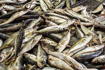 The fish and grocery market in the Markethall of Loule in the Algarve, Portugal in Europe.