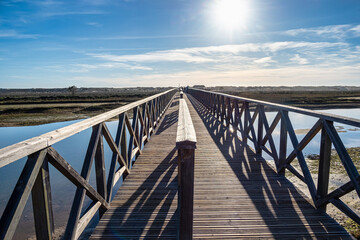 Fototapeta premium Landmark footbridge heading to famous Quinta do Lago beach, in Ria Formosa wetlands, Algarve. Portugal