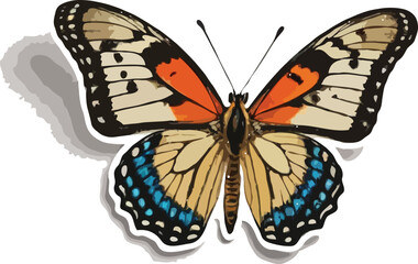 butterfly isolated on white background