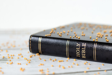 Mustard seeds on holy bible book with white background. Close-up. Copy space. Faith and trust in...