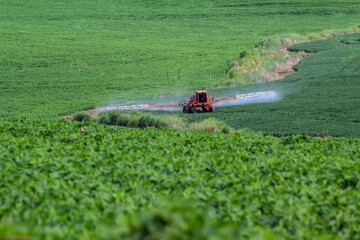 Tractor spraying fertilizer or pesticides on soybean field with sprayer in Brazil