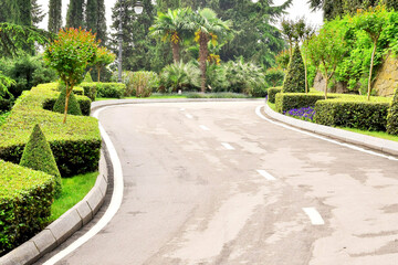 The road through the forest in the mountains