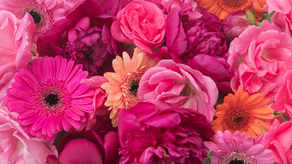 abstract art background of pink germini flowers