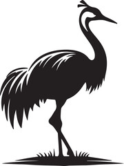 Copsychus saularis Vector Silhouette With white background