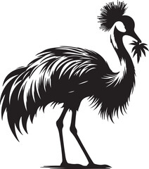 Copsychus saularis Vector Silhouette With white background