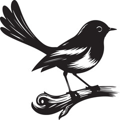 Fototapeta premium Copsychus saularis Vector Silhouette With white background