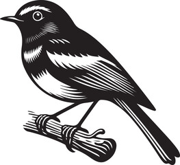 Copsychus saularis Vector Silhouette With white background