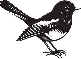Copsychus saularis Vector Silhouette With white background