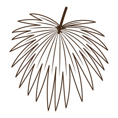 Obraz premium Botanical tropical palm pointed wide leaves branches hand drawn line for modern design decoration. Flat doodle style. Vector illustration.