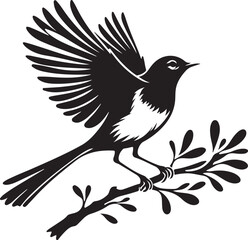 Copsychus saularis Vector Silhouette With white background