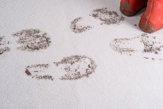 Muddy carpet. Dirty footprints in wet mud, red shoes isolated on background. dirty stains in daily life for cleaning concept.