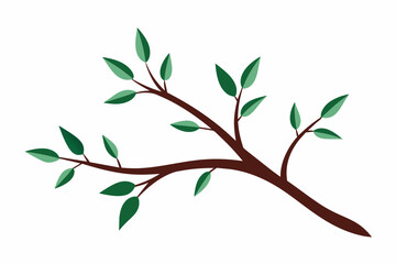branches vector illustration white background