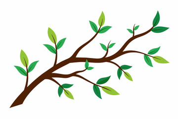 branches vector illustration white background