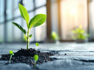 Sustainable development funds, driving green growth close up, ethereal, Fusion, modern office backdrop