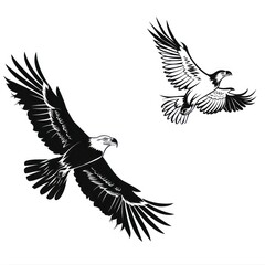 Fototapeta premium An attacking eagle flying in the sky with a large wingspan