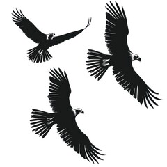 Obraz premium An attacking eagle flying in the sky with a large wingspan