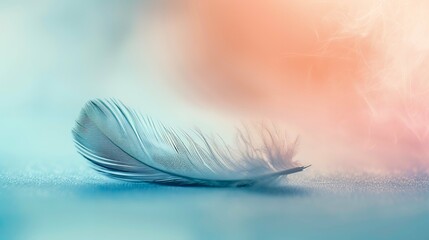 Ethereal Feather on Pastel Gradient, Serene Macro Photography of Delicate Feather